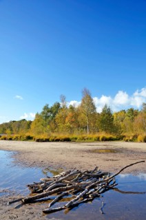 Nature reserve