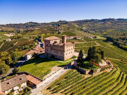 Aerials of the wineyards around Castle of Grinzane Cavour