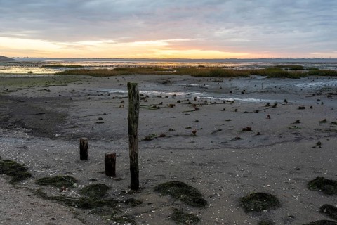 Sunrise at low tide