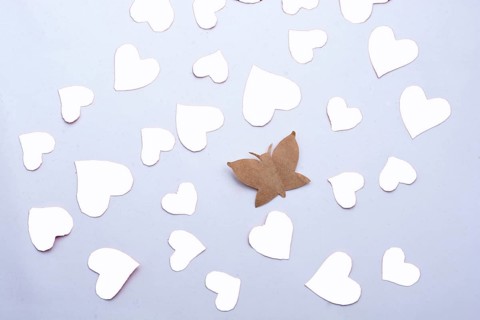 Paper butterfly and paper hearts in red color