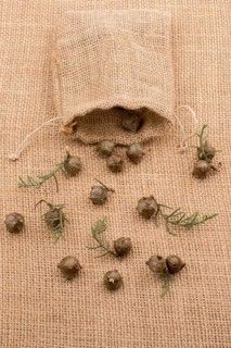 Plant pods