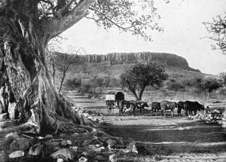 Landscape at the Waterberg in 1930