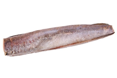 Raw hake isolated on white background
