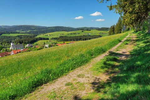 View over Breitnau to the Feldberg in spring