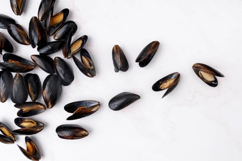 Scattered mediterranean mussels flat lay