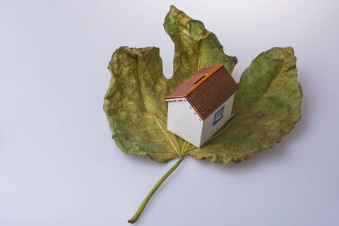 Little model house placed on a large Autumn leaf