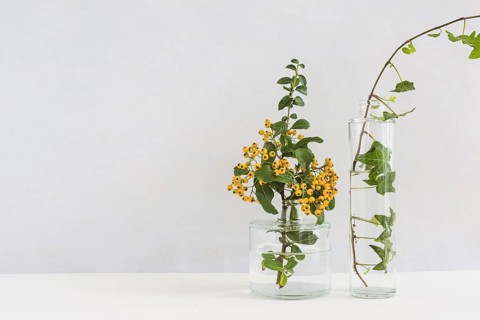 Yellow berry twig ivy glass vase desk against background. Resolution and high quality beautiful photo