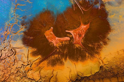 Ebru marbling handmade art