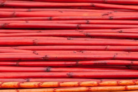 Bamboo sticks