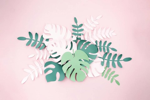 Tropical plants style cut paper. Resolution and high quality beautiful photo