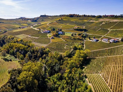 Aerials of the wineyards around Barolo