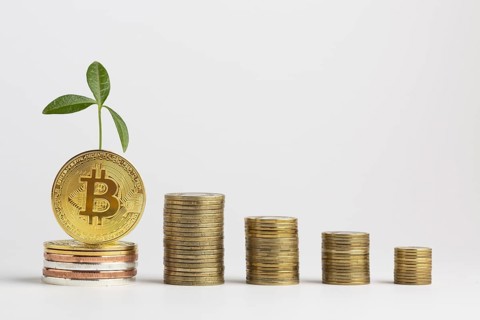 Piles bitcoin with plant