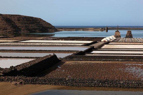 The Salinas de Janubio