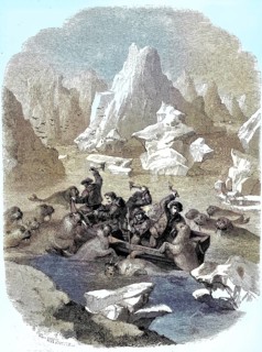 Boat being attacked by walruses