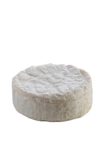 Camembert cheese isolated on white background