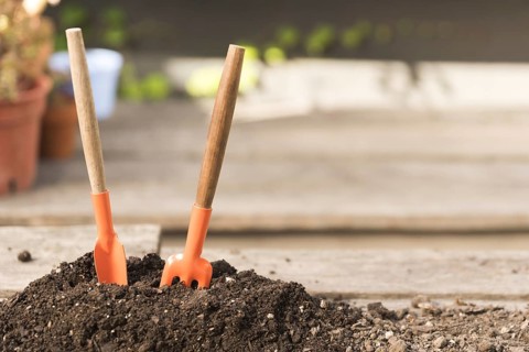 Tools soil. Resolution and high quality beautiful photo