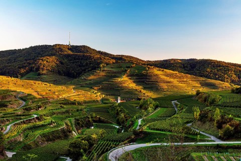 Village in the vineyards