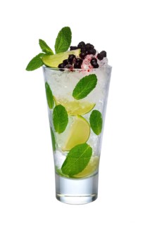 Black currant ice cocktail with lime and mint isolated on white background