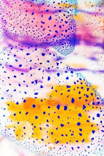 Oil bubbles inside water base form patterns