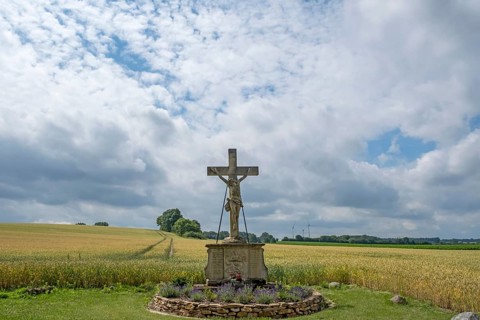 Field cross