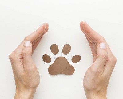 Top view of hands protecting paw print for animal day. Resolution and high quality beautiful photo