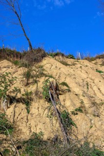 Landslide