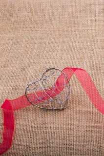 Band and Heart shaped cage on linen canvas