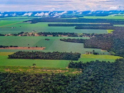 Aerial of the giant soy fields around Sinop