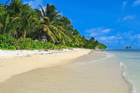 Dream beach Anse La Reunion