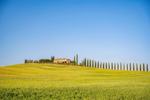Poggio Covili estate with cypress