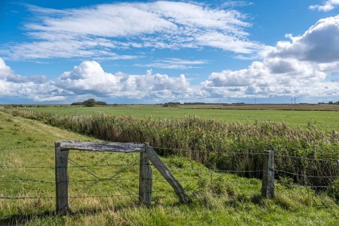 Landscape on the North Sea island of Foehr