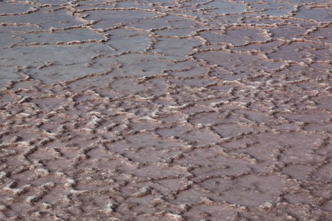 The Salinas de Janubio