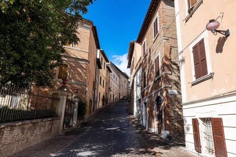 Historic center