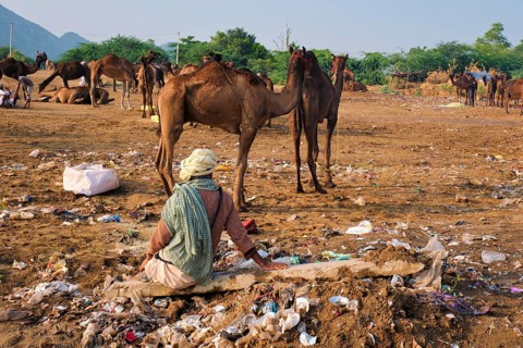 Pushkar