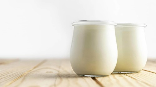 Front view plain yogurt in jars
