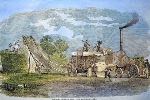 Steam-powered threshing machine by Wilkinson