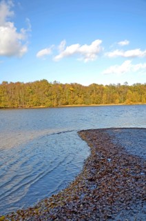 Nature reserve
