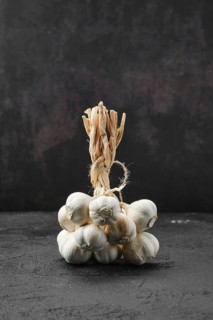 Bunch of garlic on dark background