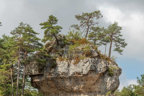 Wild landscape in Cevennes National Park