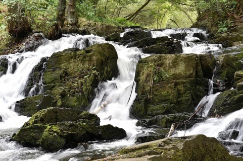 The Selke Falls Waterfall in the Harz Mountains