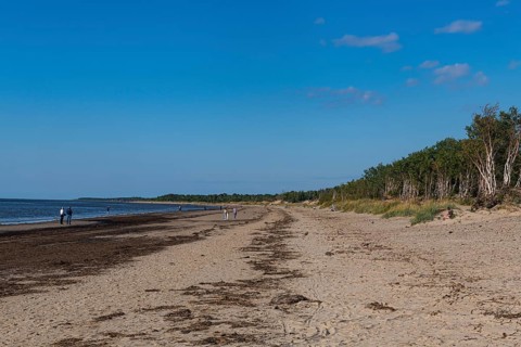 Long sandy beach on the white sea