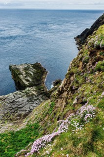 The steep cliffs of Sumburgh head