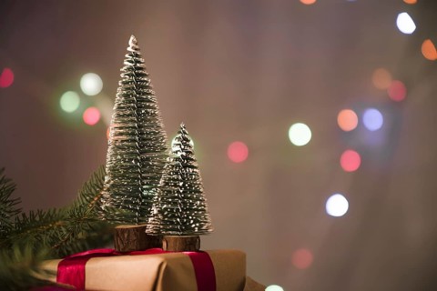 Decorative christmas trees present box
