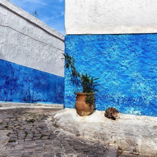 Typical narrow alley with cat