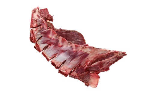 Raw fresh deer ribs isolated on white background