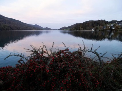 Morning atmosphere at Lake Fuschl