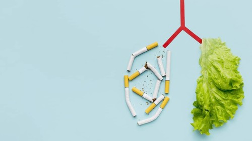 Lungs shape with salad cigarettes copy space