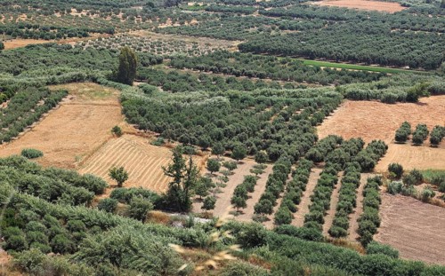 View over the Mesara plain
