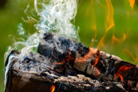 Close up view of burning firewood in the fire outdoor