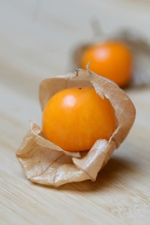 Physalis